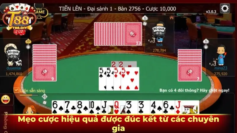 Mẹo cược hiệu quả được đúc kết từ các chuyên gia